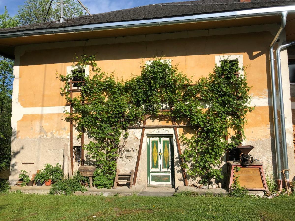 Ferienwohnung Klampfermuehle Vorchdorf Exterior photo